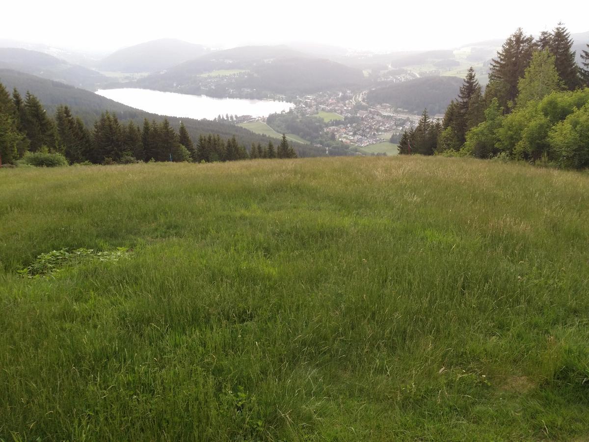 Schwarzwald - Villa Appartments Titisee Buitenkant foto